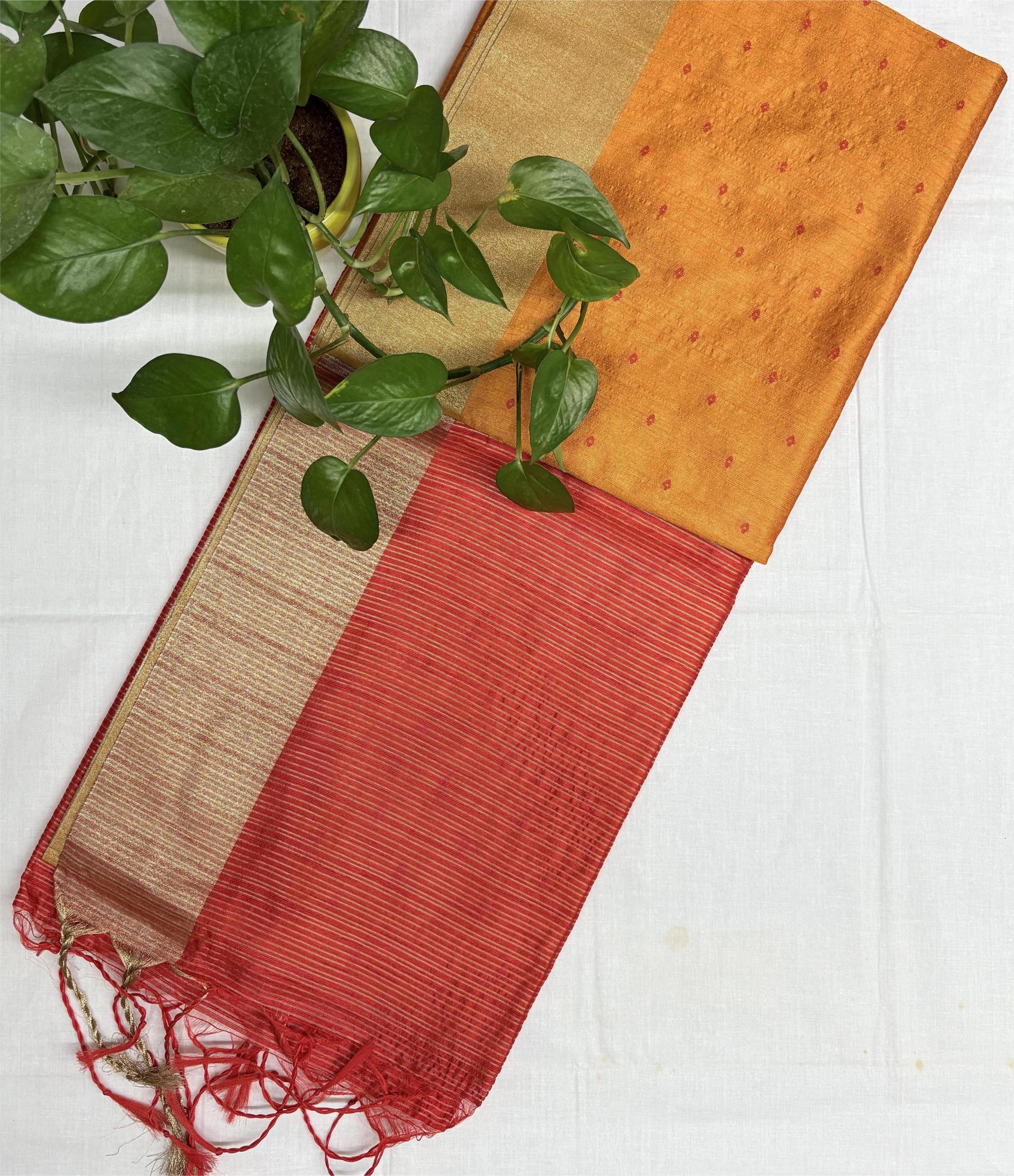 IMG_0861 Golden–Yellow