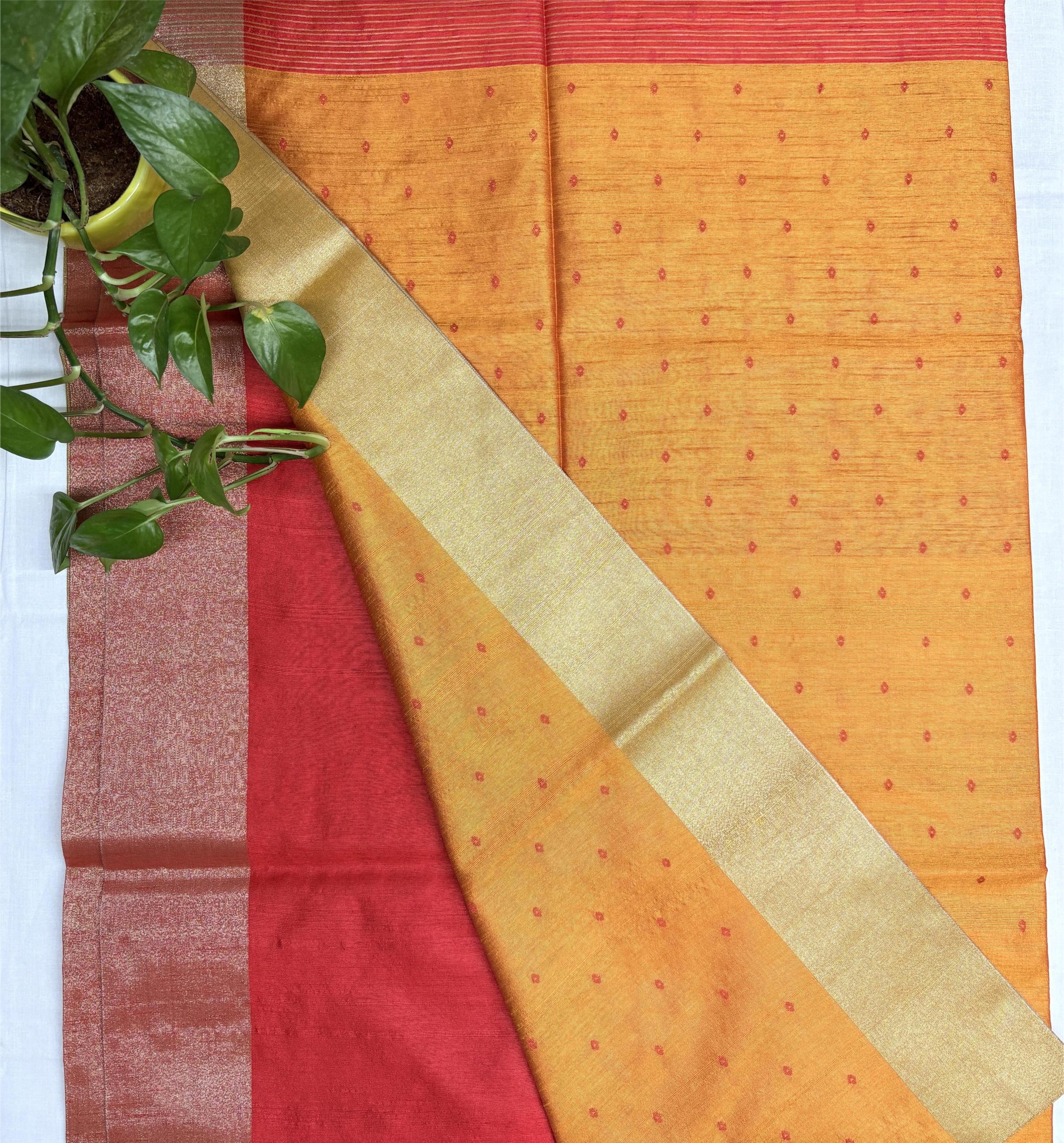 IMG_0863 Golden–Yellow