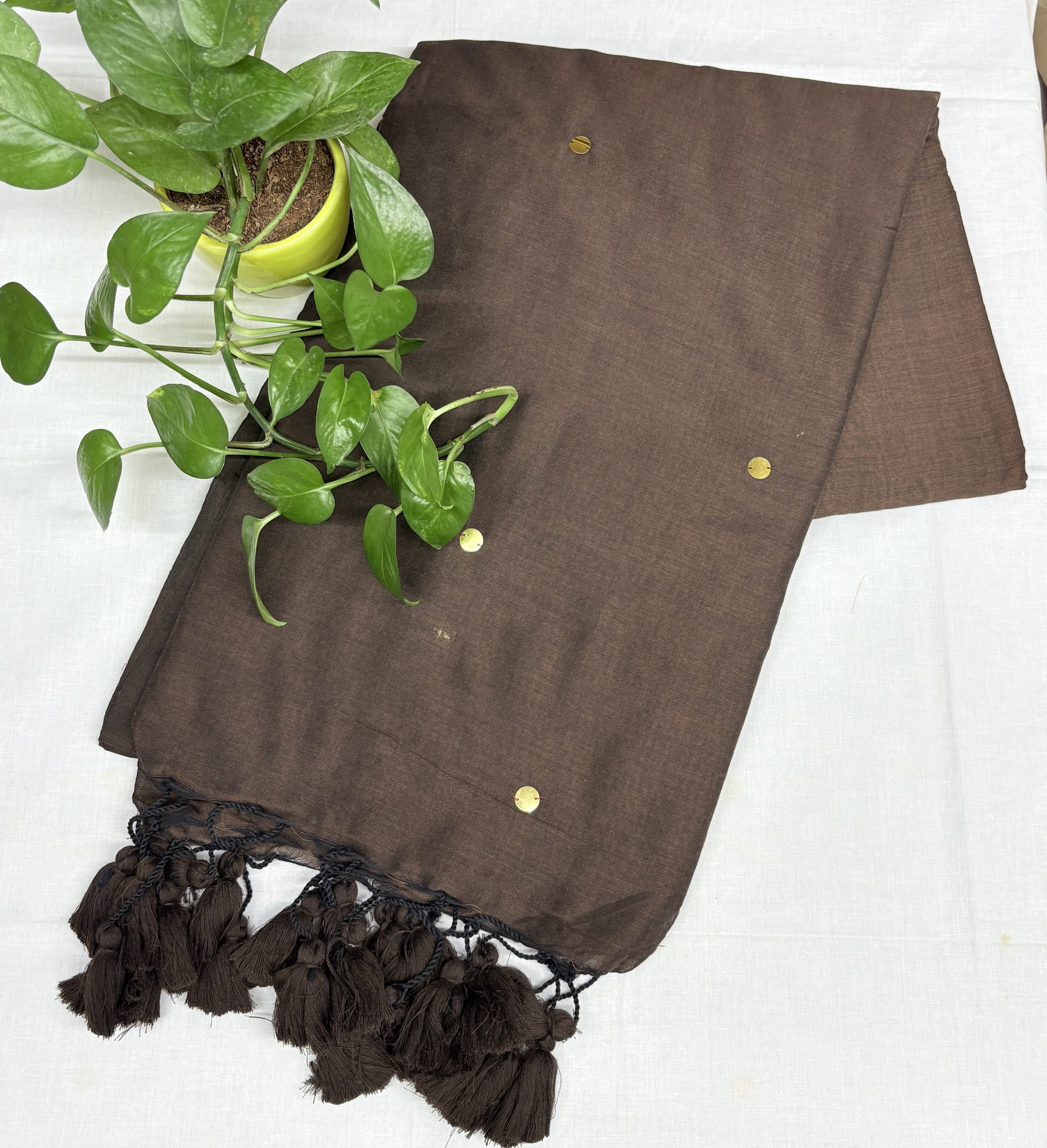 IMG_E0650 Chocolate brown Khadi Saree