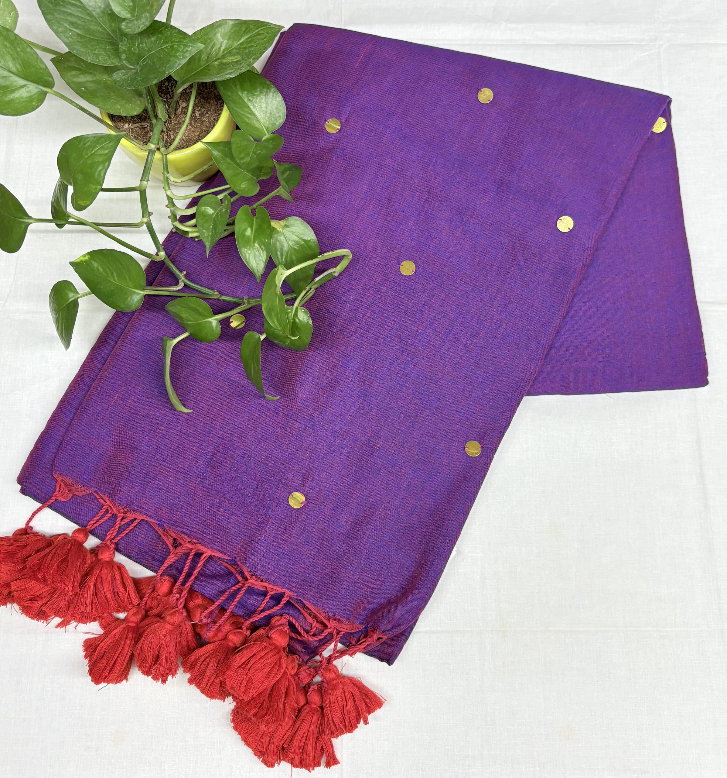 IMG_E0653 Royal purple Khadi Saree