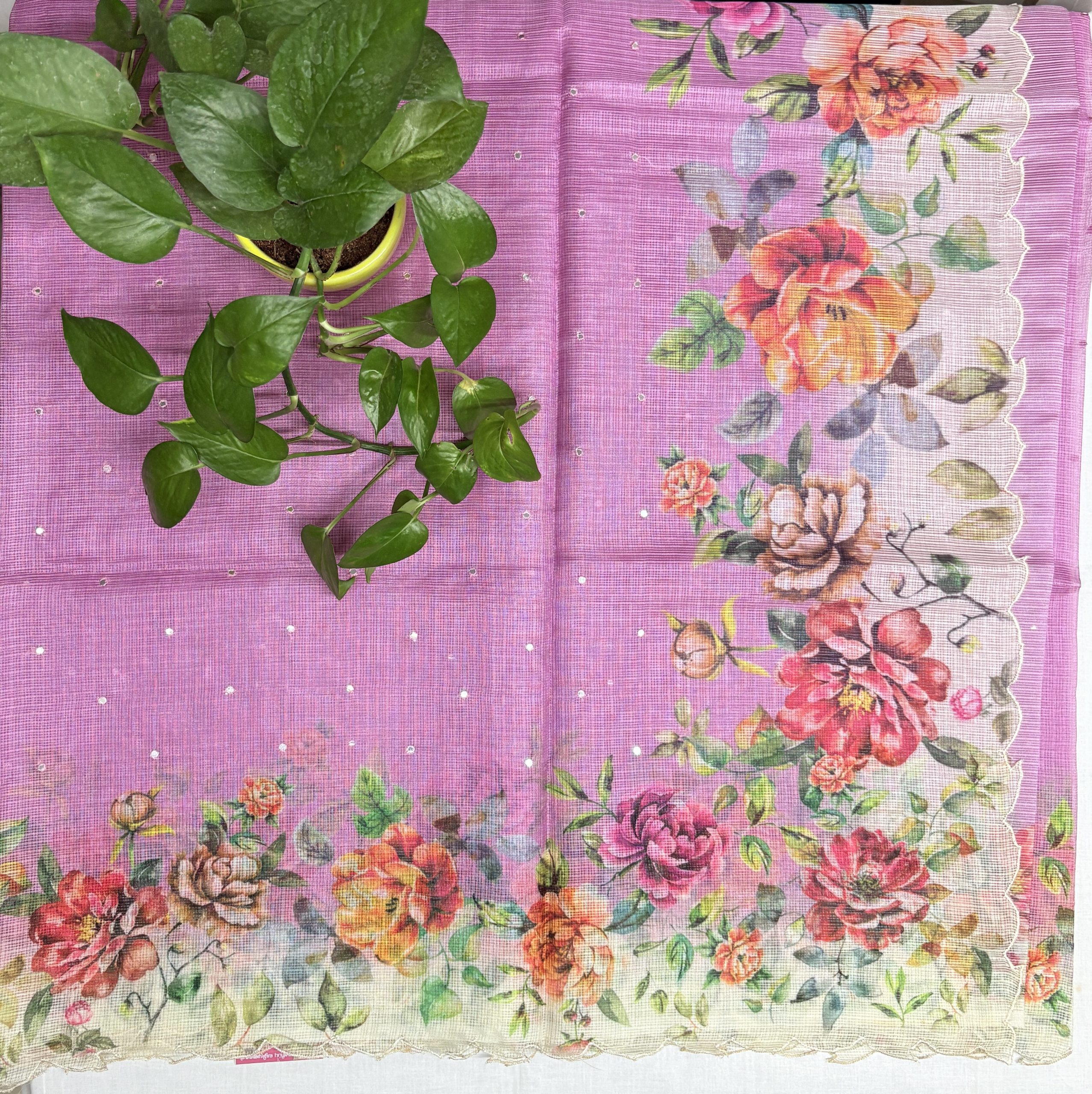 IMG_E0848 Lavender–Pink