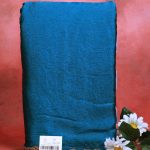Blue Space Silk Saree Poorna boutique