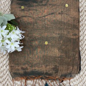 eal & Copper Dual-Tone Premium Tissue Saree with Sequin Work